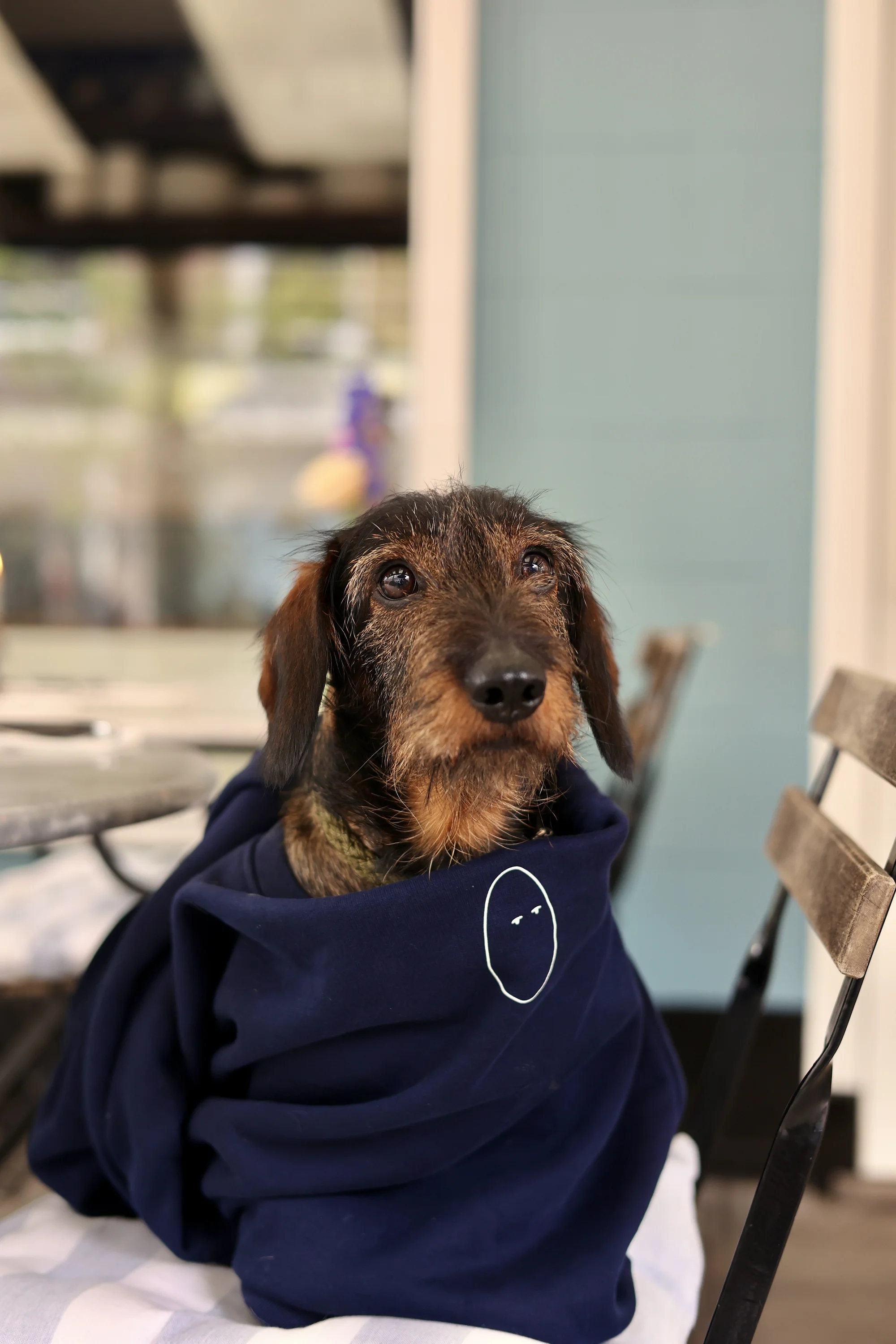 Beautifully plated brunch dish at Oeuf Amsterdam restaurant